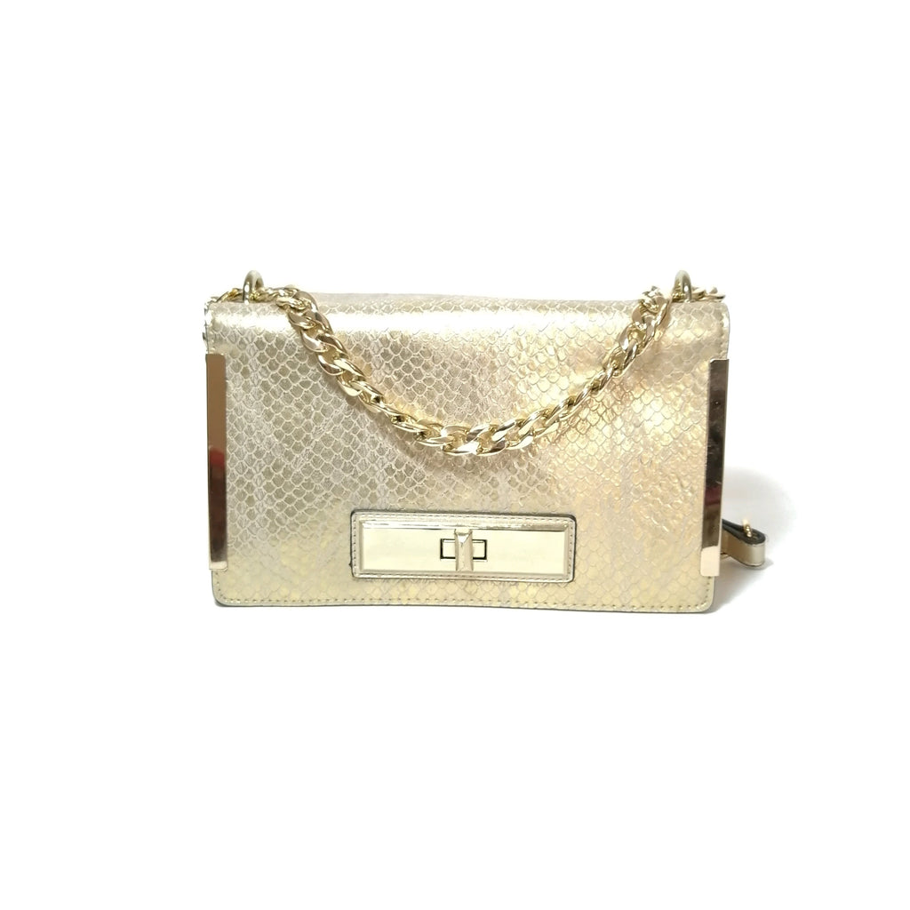 ALDO Gold Rectangular Clutch