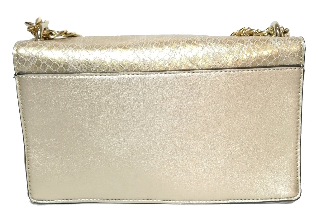 ALDO Gold Rectangular Clutch