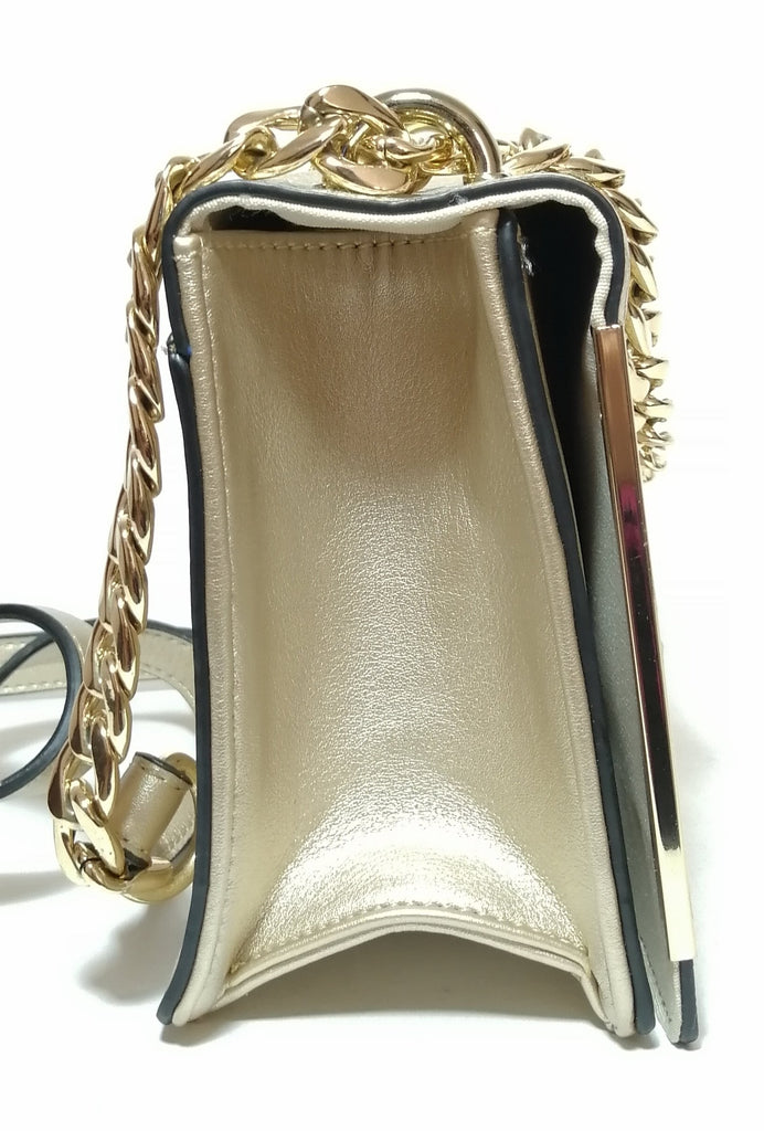 ALDO Gold Rectangular Clutch