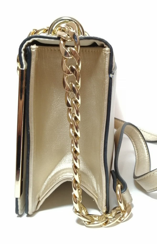 ALDO Gold Rectangular Clutch